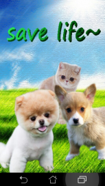 認養動物 App
